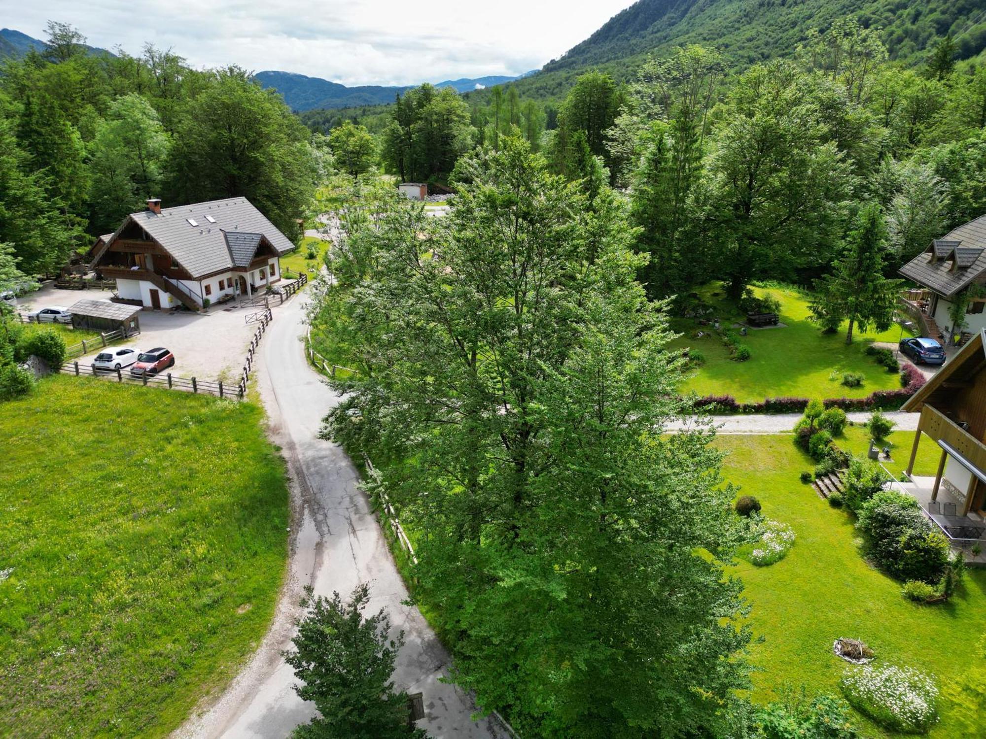 Sobe In Apartmaji Pri Ukcu Bohinj Exterior photo